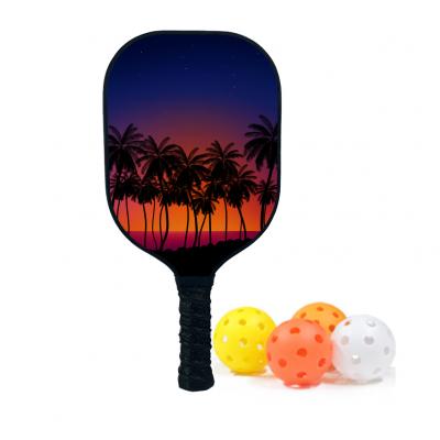 Pickleball Paddle